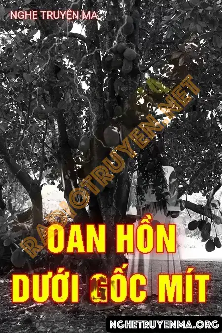 Oan Hồn Dưới Gốc Mít - Quàng A Tũn
