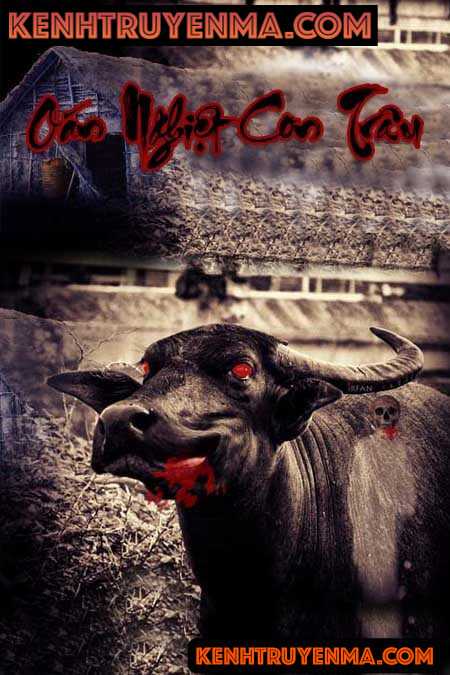 Oán Nghiệt Con Trâu