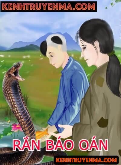 Rắn Báo Oán Rất Linh Thiêng