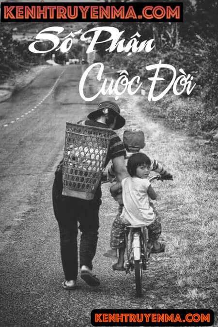Số Phận Cuộc Đời