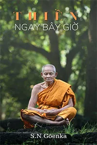 Thiền Ngay Bây Giờ