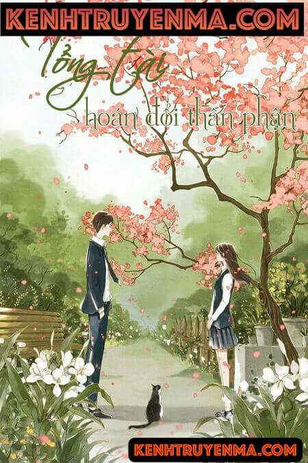 Tồng Tài Hoán Đổi Thân Phận - Truyện Ngôn Tình