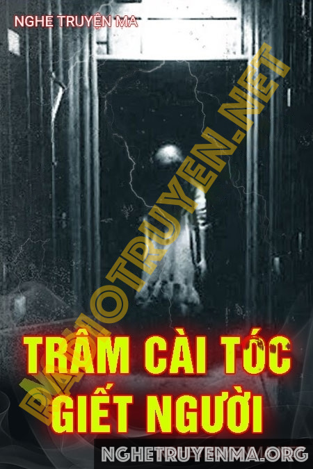 Trâm Cài Tóc G.iết Người
