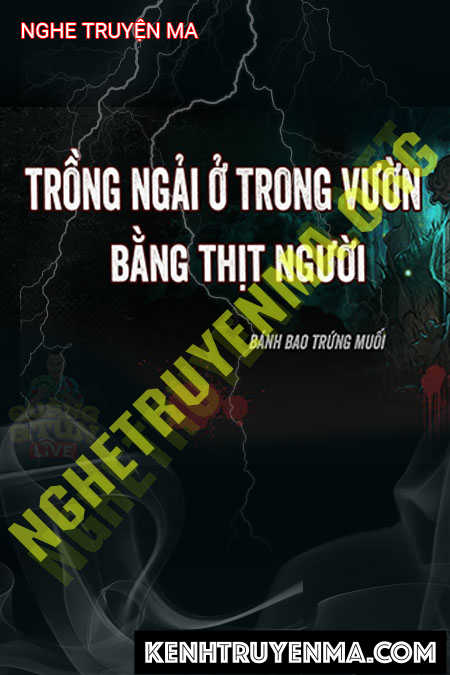 Trồng Ngải Ở Trong Vườn