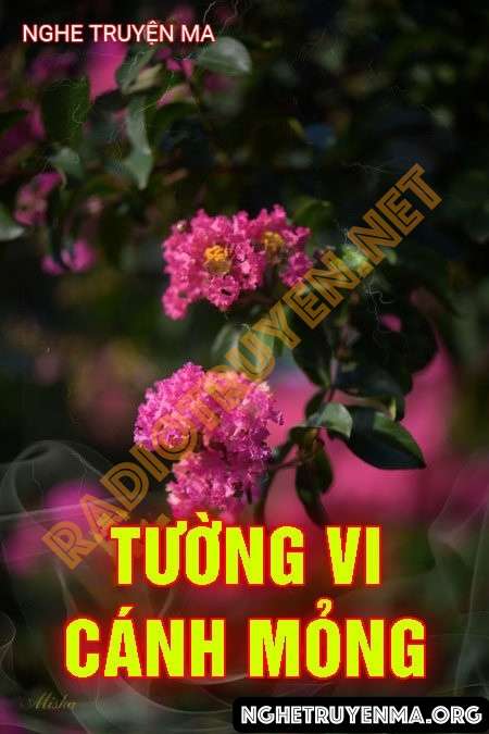 Tường Vi Cánh Mỏng