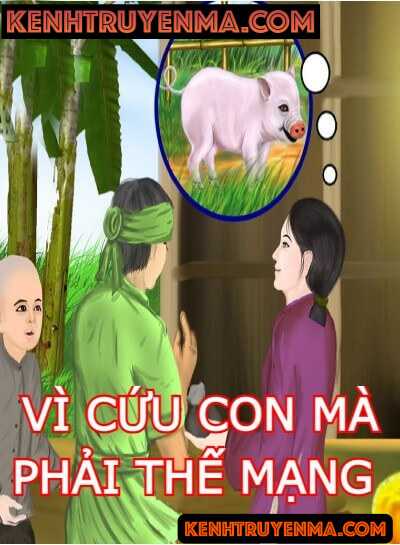 Vì Cứu Con Mà Phải Thế Mạng Bằng Một Con Lợn